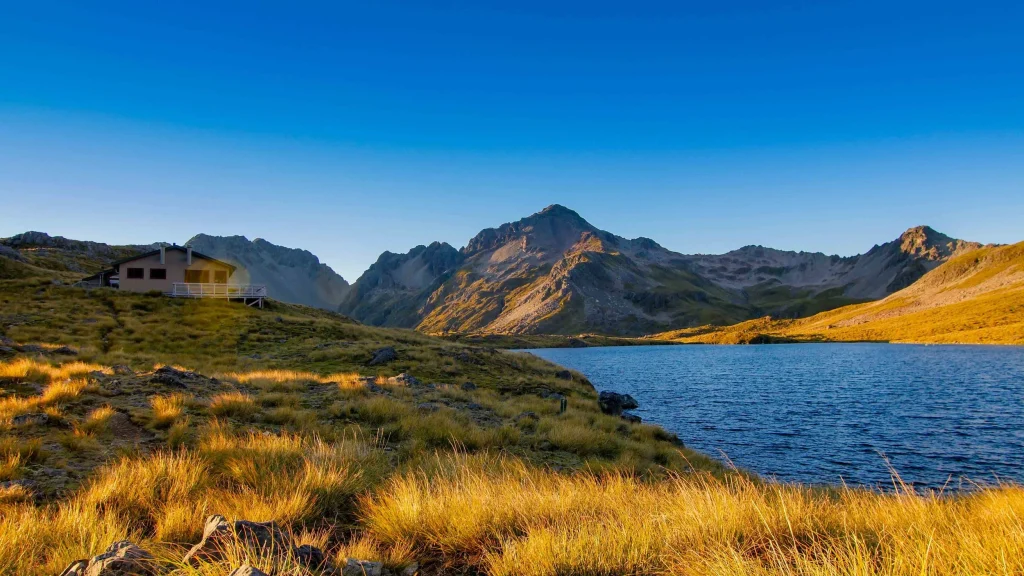 Should you hire private hiking adventures in New Zealand?