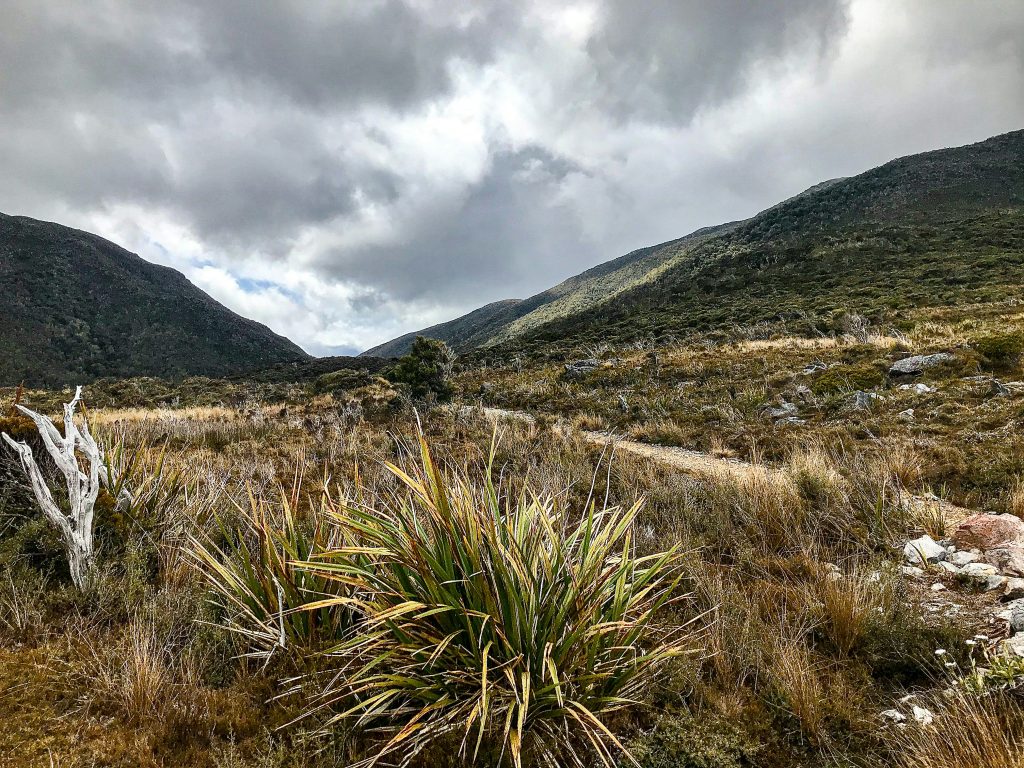 Why an Adventure Tour in New Zealand is the Family Trip You’ll Talk About for Years