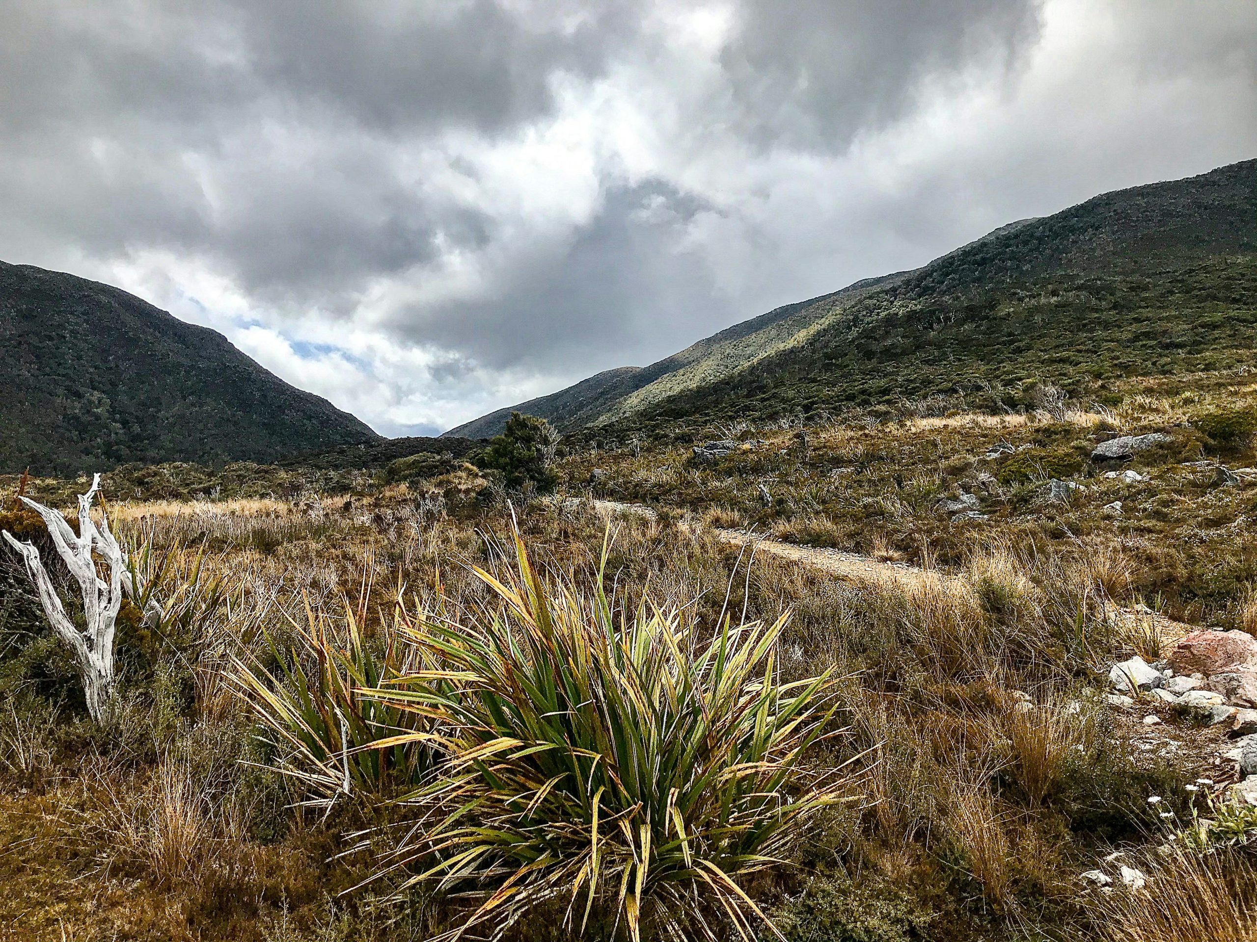 Read more about the article Why an Adventure Tour in New Zealand is the Family Trip You’ll Talk About for Years