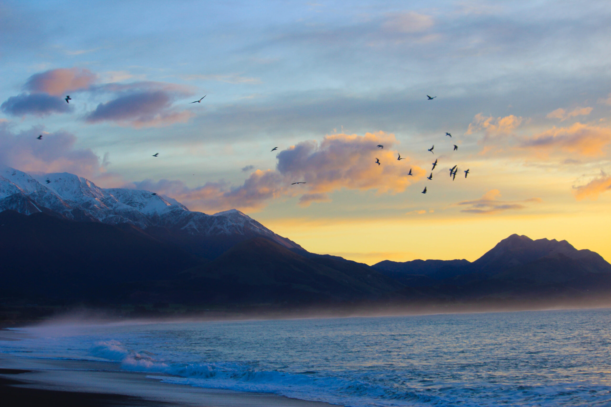 New Zealand Adventure